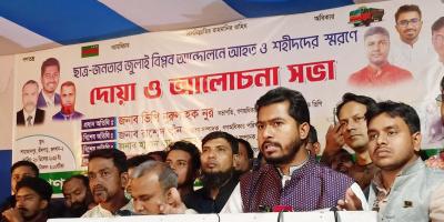 প্রতিবিপ্লবের ঝুঁকি এড়াতে জাতীয় সরকার দরকার: নুর