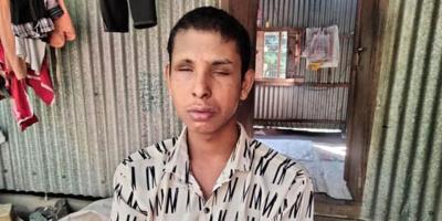শুধু পৃথিবীর আলো দেখতে চায় হিমেল