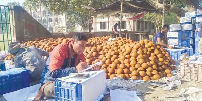 খেজুরের গুড়ে ১৫০ কোটি টাকা বাণিজ্যের সম্ভাবনা