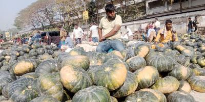 পানির দরেও বিক্রি হচ্ছে না সবজি