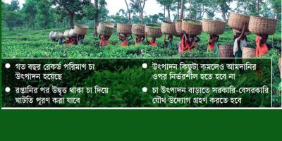 উৎপাদন কমলেও দেশে চায়ের ঘাটতি হবে না
