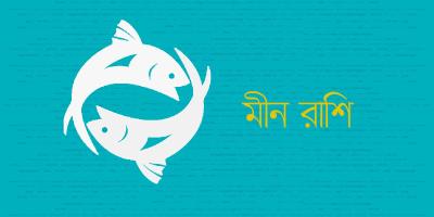 মীন রাশির যেমন যাবে ২০২৫ সাল