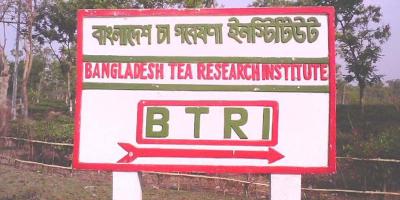 বাংলাদেশ চা বোর্ডে চাকরির পুনর্বিজ্ঞপ্তি
