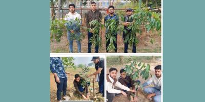 রাজধানীতে ছাত্রদলের বৃক্ষরোপণ