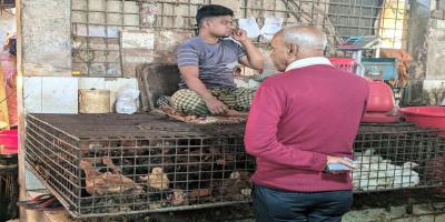 সবজিতে স্বস্তি, লাফিয়ে বাড়ছে মুরগি-মাছ-মসলার দাম