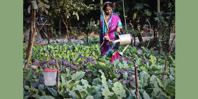 সবজি চাষ ও পশু পালন করে স্বাবলম্বী নারীরা