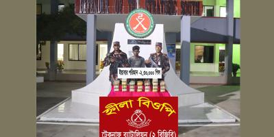 টেকনাফ সীমান্তে ২ লাখ ৩০ হাজার পিস ইয়াবাসহ আটক ১ রোহিঙ্গা