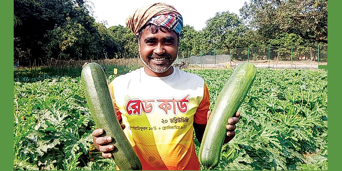 স্কোয়াশ চাষে মোহাম্মদ আলীর সাফল্য