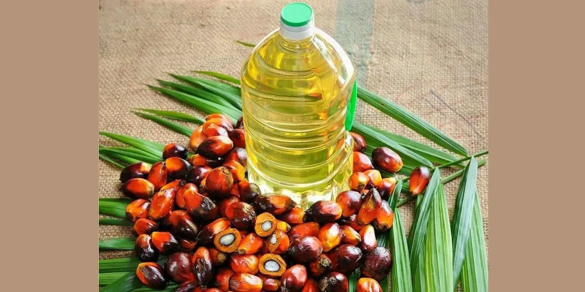 ভারতে চাহিদা হ্রাস, দাম কমল পাম অয়েলের