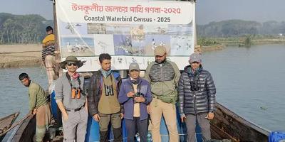 ভোলায় শুরু হয়েছে উপকূলীয় জলচর পাখিশুমারি