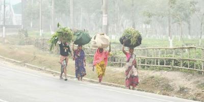 কুয়াশার চাদরে ঢাকা সিলেট, দেখা মেলেনি সূর্যের