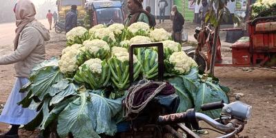 ফুলকপির পিস ২-৪ টাকা!