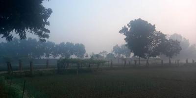 পঞ্চগড়ের তাপমাত্রা ৭.৮ ডিগ্রি