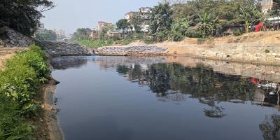 বগুড়ায় নদীর মাঝে বাঁধ , বীজতলা নষ্ট