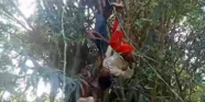 বাঁশঝাড়ে উঠে পড়া মানসিক ভারসাম্যহীন তরুণীকে উদ্ধার