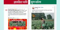 রিপাবলিক বাংলার অপপ্রচার: ভারতের ফসল নষ্ট করছে বাংলাদেশিরা