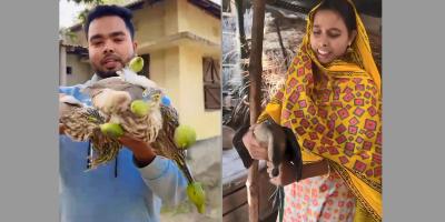 জামাইদের আপ্যায়নে বক-বুনোহাঁস, ২ ব্লগারকে খুঁজছে বন বিভাগ