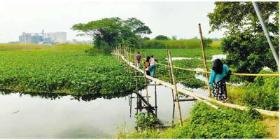 ২০ গ্রামের মানুষের ভরসা সাঁকো