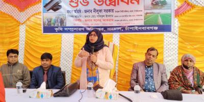 নাচোলে ধানের চারা রোপণ কার্যক্রমের উদ্বোধন
