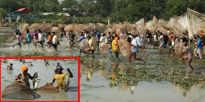 সিলেটে হয়ে গেলো পলোবাওয়া উৎসব