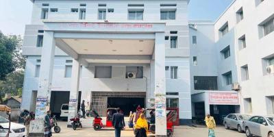 ভৈরবে প্রকৌশলীসহ ২৫ জন কুকুরের কামড়ে আহত