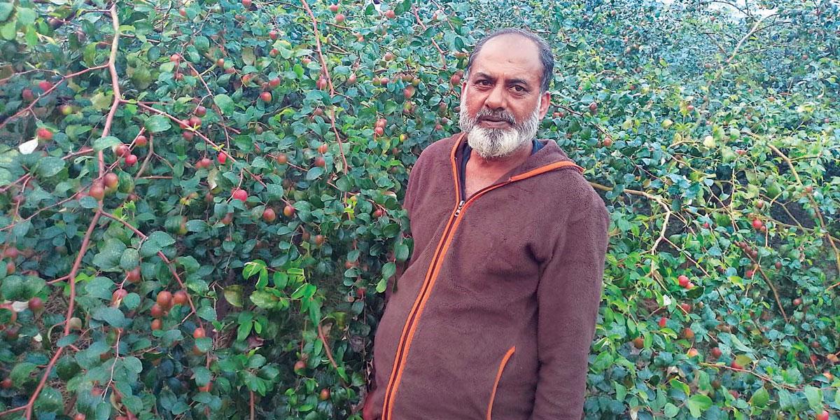বরই চাষ করে স্বাবলম্বী কেরামত