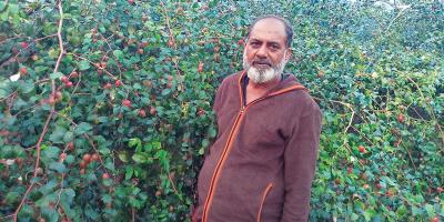বরই চাষ করে স্বাবলম্বী কেরামত
