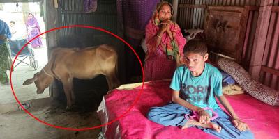প্রতিবন্ধী সন্তান নিয়ে গোয়ালঘরে বসবাস রহিমার