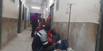 কান ও অণ্ডকোষ কামড়ে নিল শিয়াল, আহত ৯