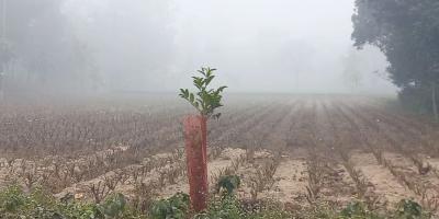পঞ্চগড়ে তীব্র শীতে জনজীবন বিপর্যস্ত