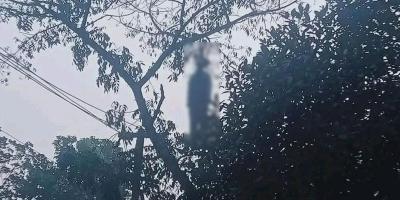 ঢাবিতে গাছে ঝুলন্ত মরদেহের পরিচয়  মিলেছে
