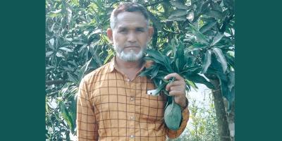 ইউটিউব দেখে বারো মাসি আম চাষ