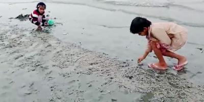 মেঘনায় মরছে মাছ, কারণ যা জানা গেল