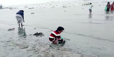 মেঘনায় পানি দূষণ, মরে ভেসে উঠছে প্রচুর মাছ