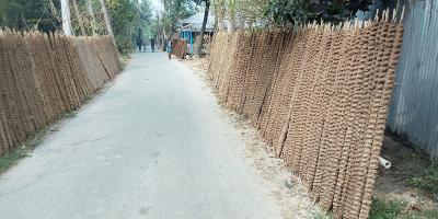 জ্বালানির চাহিদা মেটাচ্ছে গোবর