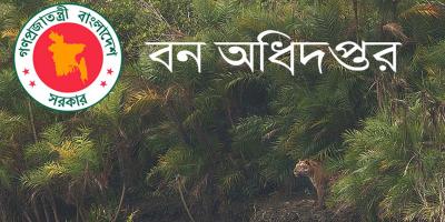নিয়োগ দিচ্ছে বন অধিদপ্তর, নিবে ৩৩৭ জন