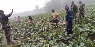 কাঁটাতারের বেড়ায় এবার বাঁশ লাগাল ভারত