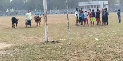সৈয়দপুর স্টেডিয়াম সংস্কারে নেই কোনো উদ্যোগ