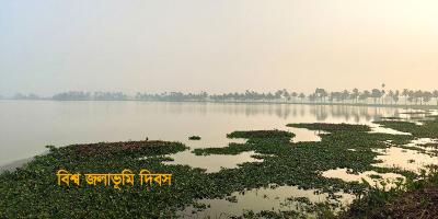 বিশ্ব জলাভূমি দিবস আজ