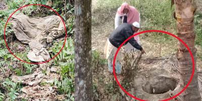 কোটালীপাড়ায় কবর থেকে কঙ্কাল চুরি