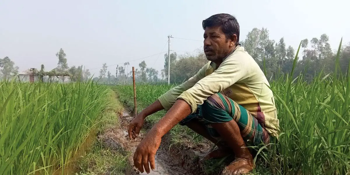 সেচ নিয়ে দ্বন্দ্ব, দুশ্চিন্তায় নেত্রকোনার কৃষক