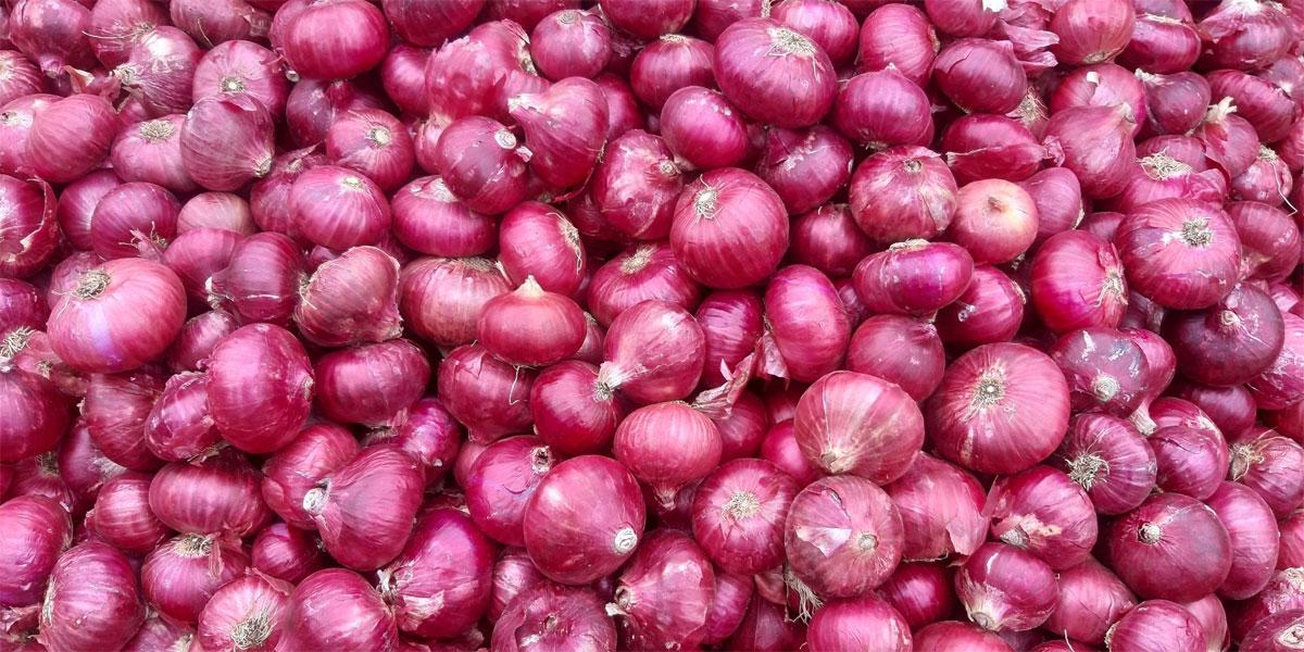 পাইকারিতে কমলেও খুচরায় চড়া ভারতীয় পেঁয়াজ