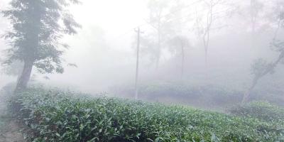আবহাওয়ার পূর্বাভাস: ৬ জেলায় শৈত্যপ্রবাহ অব্যাহত থাকতে পারে