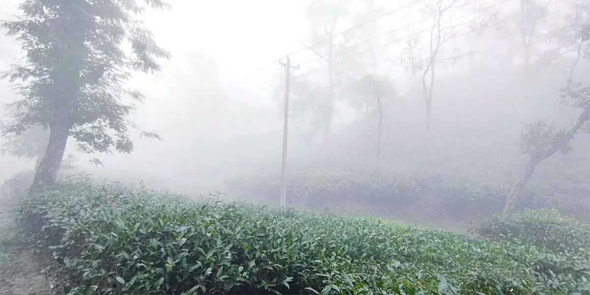 আবহাওয়ার পূর্বাভাস: ৬ জেলায় শৈত্যপ্রবাহ অব্যাহত থাকতে পারে
