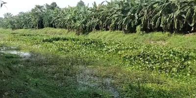 ভারতে অনুপ্রবেশের চেষ্টায় মহেশপুর সীমান্তে ১৯ বাংলাদেশি আটক