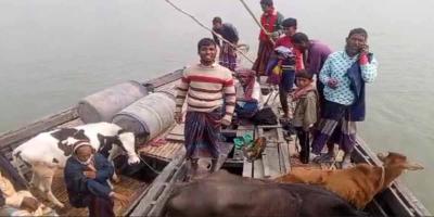 চিলমারী-রৌমারীতে নৌ-ডাকাতি, আতঙ্কে স্থানীয়রা