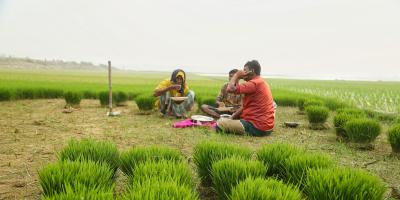 সোমবারের তাপমাত্রা নিয়ে যে তথ্য দিল আবহাওয়া অফিস