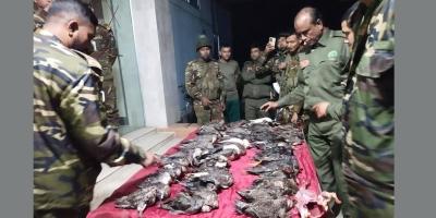 হরিপুরে রেস্টুরেন্ট থেকে গলা কাটা ৭৩টি অতিথি পাখি জব্দ