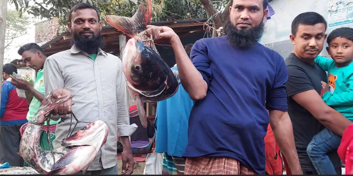 পোড়াদহ মেলার বড় আকর্ষণ মাছ আর মিষ্টি