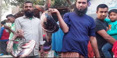 পোড়াদহ মেলার বড় আকর্ষণ মাছ আর মিষ্টি